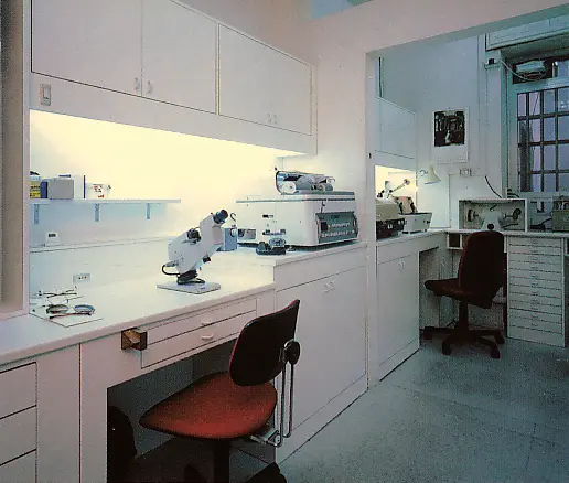 Il laboratorio Franz nel 1991